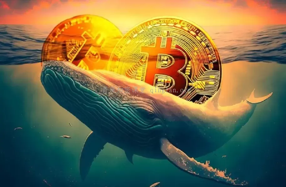 比特币巨鲸异动：链上数据显示交易流量转向，市场酝酿变局