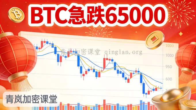 青岚BTC分析｜02月23日周一｜BTC急跌解析